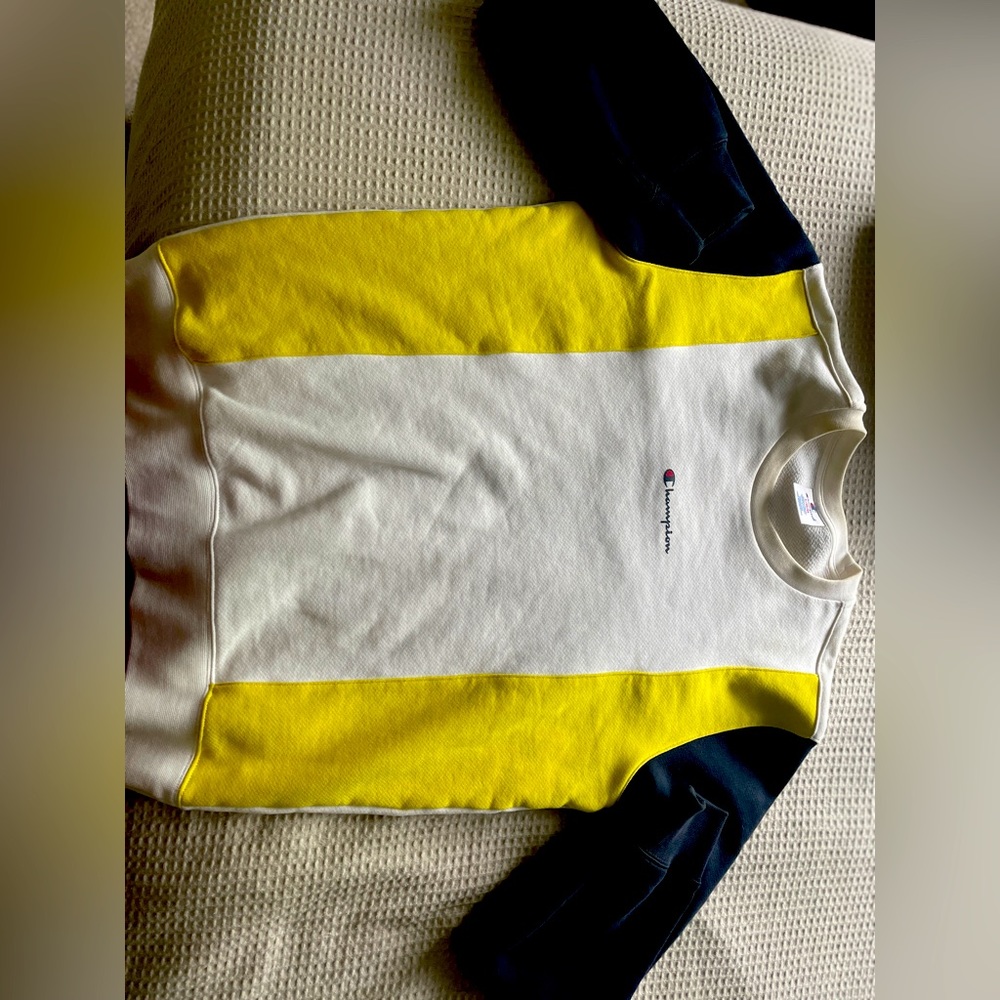 Champion sweater large